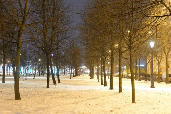 Park Nocy Zimowych Obrzeżach Petersburg Federacja Rosyjska — Zdjęcie stockowe