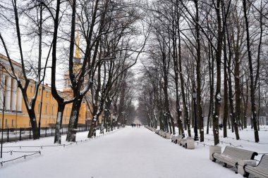 Alexander Bahçe bulut kış günü Saint Petersburg, Rusya, sokakta.
