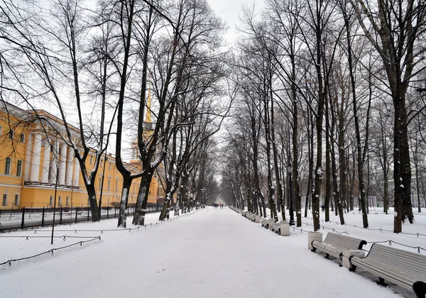 Alley Alexander Garden Wolk Winterdag Sint Petersburg Rusland — Stockfoto