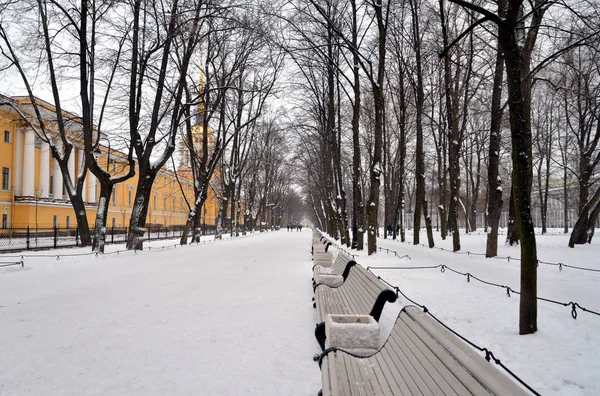 Alley Alexander Garden Wolk Winterdag Sint Petersburg Rusland — Stockfoto