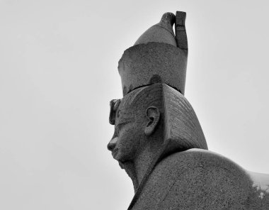 Antik Mısır Sfenks Rusya'nın St. Petersburg kentinde üniversite dolgu üzerinde. Siyah ve beyaz.