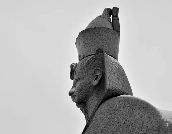 Muinainen Egyptiläinen Sfinksi Pietarin Yliopiston Rantakadulla Mustavalkoinen — kuvapankkivalokuva