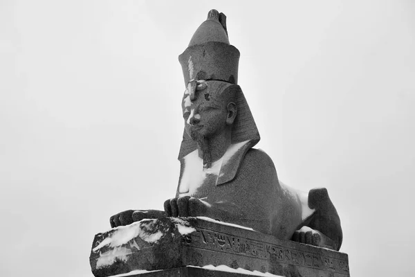 Altägyptische Sphinx Auf Dem Universitätsdamm Petersburg Russland Schwarz Weiß — Stockfoto