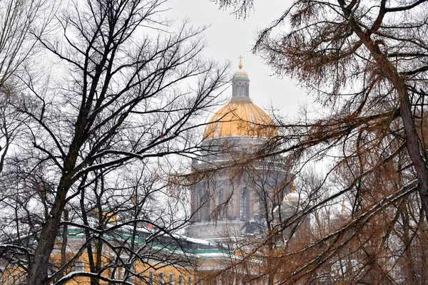 Isaac Cathedral Bomen Takken Sint Petersburg Rusland — Stockfoto