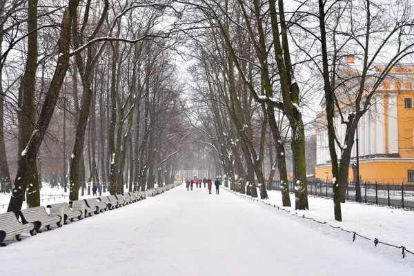 Alley Alexander Garden Wolk Winterdag Sint Petersburg Rusland — Stockfoto