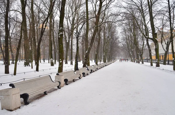 Alley Alexander Garden Wolk Winterdag Sint Petersburg Rusland — Stockfoto