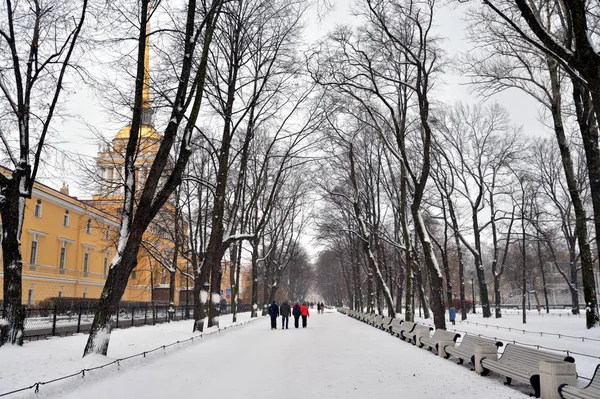 Ruelle Dans Alexander Garden Journée Nuageuse Hiver Saint Pétersbourg Russie — Photo