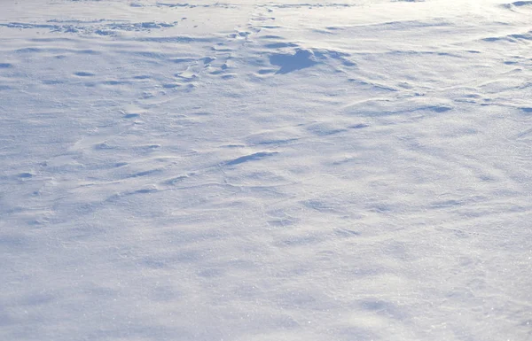在阳光明媚的冬日下雪 它可以作为背景 — 图库照片