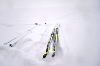 St.Petersburg, Rusya Federasyonu - 27 Ocak 2019: bulut gün, karda kayak.