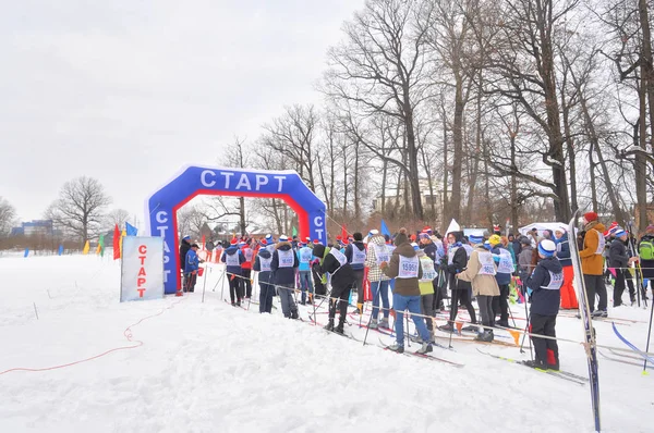 Petersburg Rússia Fevereiro 2019 Toda Corrida Russa Esqui Massa Esqui — Fotografia de Stock