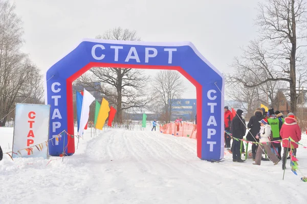 Petersburg Rússia Fevereiro 2019 Toda Corrida Russa Esqui Massa Esqui — Fotografia de Stock