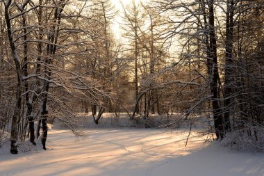 Donmuş gölde kış günbatımı vasıl belgili tanımlık park.