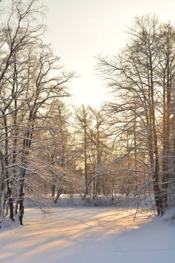 Donmuş gölde kış günbatımı vasıl belgili tanımlık park.