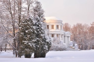 Elaginoostrovsky Palace Elagin Adası St. Petersburg'daki kış akşam, Rusya Federasyonu.