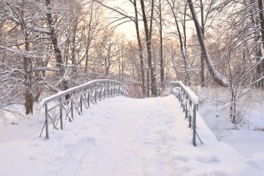 Gün batımında kış parkta küçük köprü.