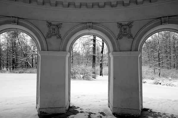 Pabellón Música Isla Elagin San Petersburgo Noche Invierno Rusia Blanco —  Fotos de Stock