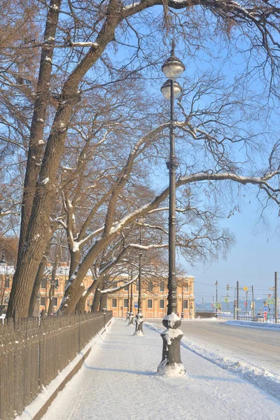 Weergave Van Universiteit Embankment Historische Centrum Van Saint Petersburg Winter — Stockfoto