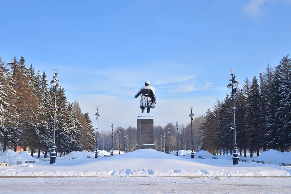 Парк аллея зимой . — стоковое фото