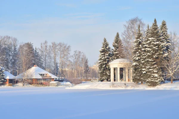Kış peyzaj Park. — Stok fotoğraf