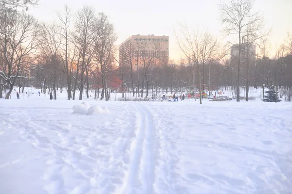 Paisagem de inverno ao pôr do sol . — Fotografia de Stock