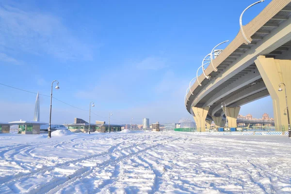 St. Petersburg eteklerinde şehir manzarası.
