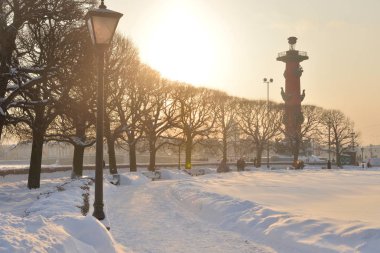 Tükürük Vasilievsky Adası ve Rostral sütun.