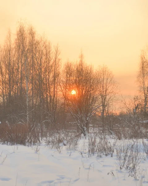 Paisaje invernal al atardecer . — Foto de Stock