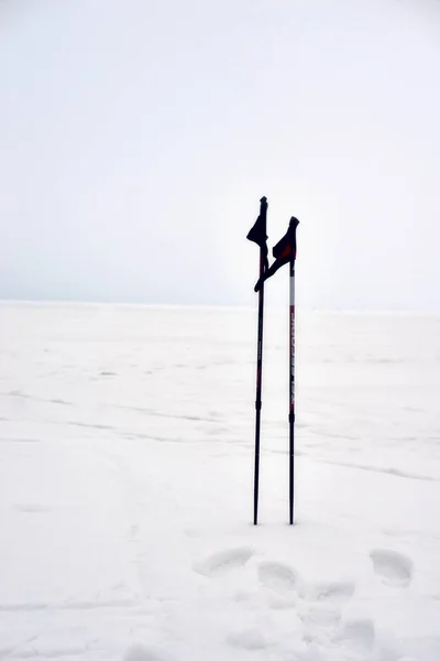 Hole pro nordic walking v zimě. — Stock fotografie
