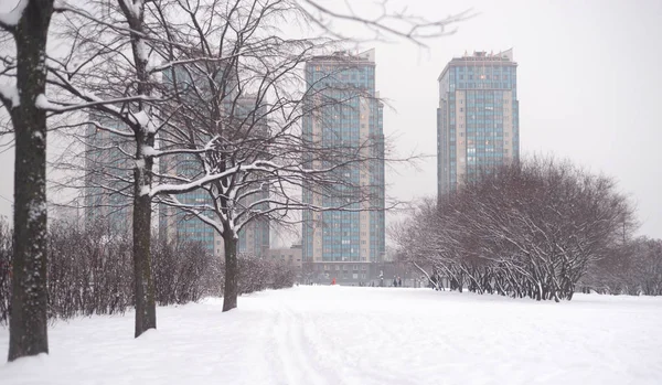 Stadspark in winter. — Stockfoto