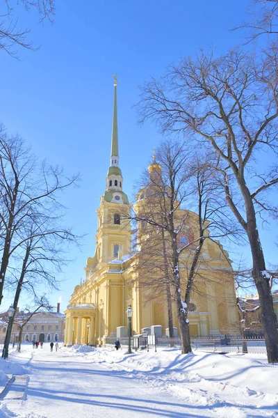 Cathédrale Pierre et Paul à Saint-Pétersbourg. — Photo