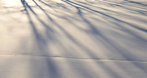 Fondo de nieve con sombras . — Foto de Stock