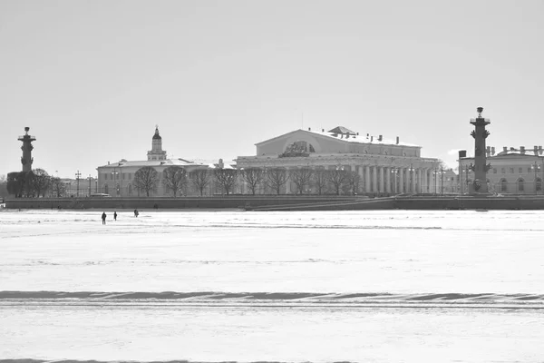 View of the arrow of Vasilievsky Island and frozen Neva river. — Stock Photo, Image