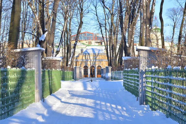 St.Petersburg kışın yaz bahçesinde sokak. — Stok fotoğraf