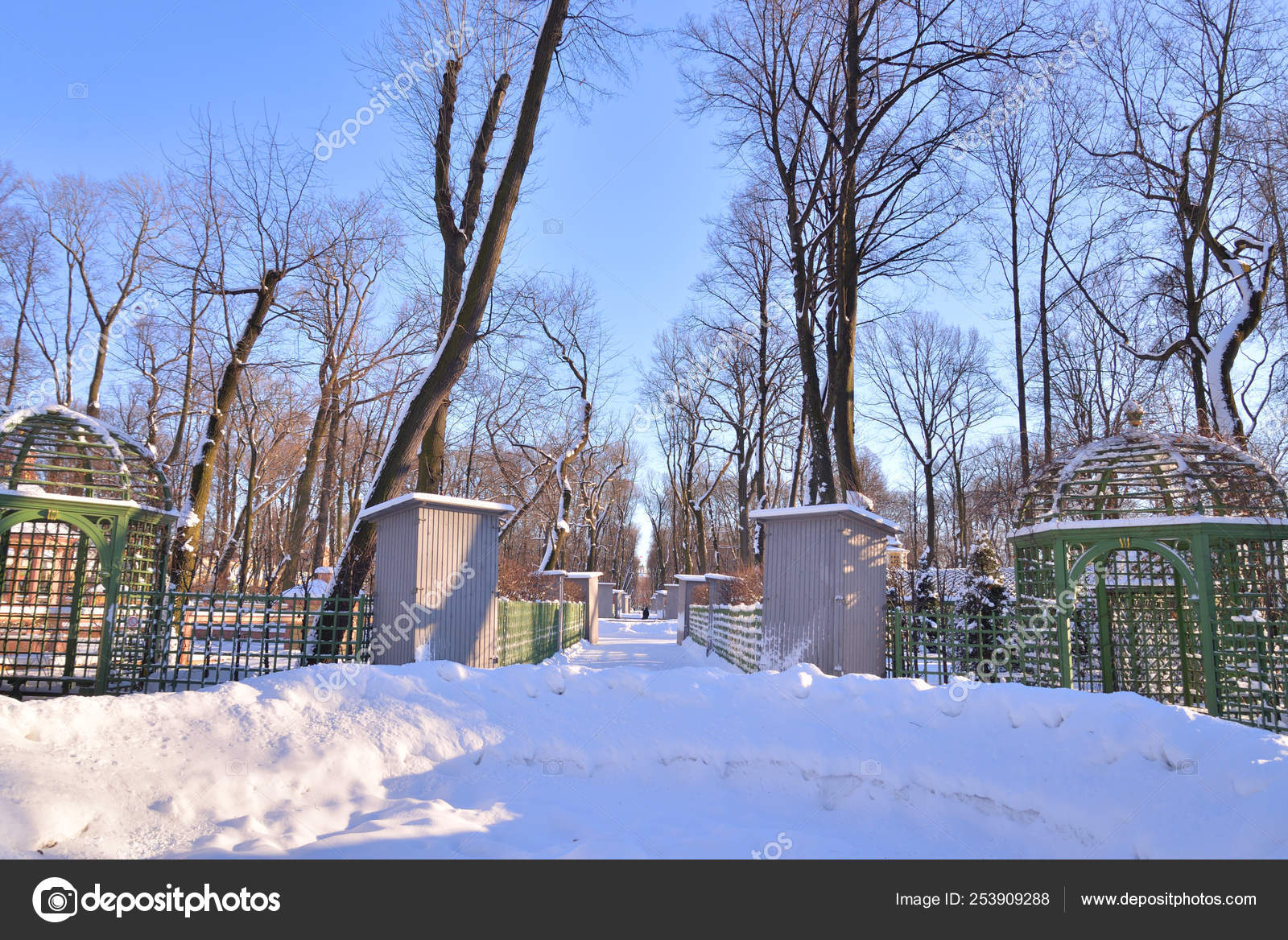 Alley In Summer Garden At Winter In St Petersburg Stock Photo C Konstsem 253909288