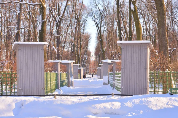 Alley in Summer Garden at winter in St.Petersburg. — Stock Photo, Image