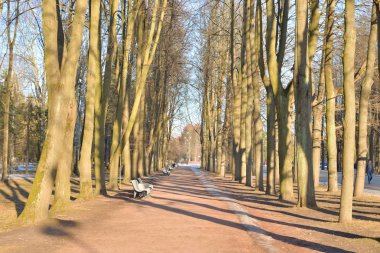 Baharda Park Sokağı.