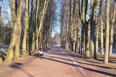 Baharda Park Sokağı.