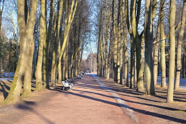 Baharda Park Sokağı.