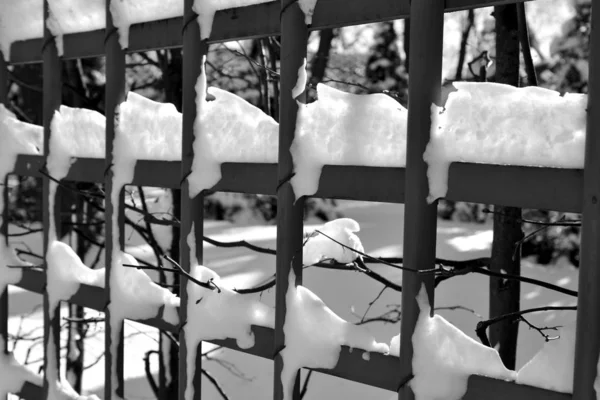 Staket med snö närbild. — Stockfoto