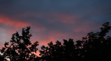 günbatımı, ağaçlar.