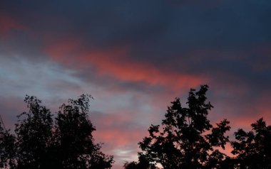 günbatımı, ağaçlar.