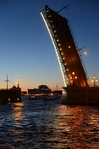 Троицкий мост ночью. — стоковое фото