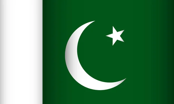 Flagga pakistan. — Stock vektor