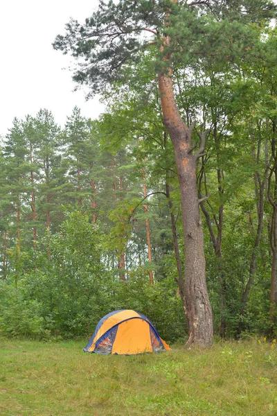 Camping tent in forest. — Stock Photo, Image
