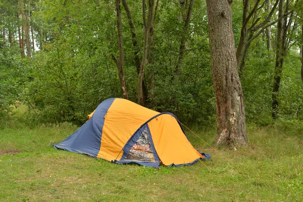 Camping Tente en forêt . — Photo