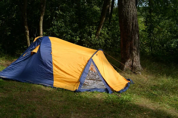 Camping tent in bos. — Stockfoto
