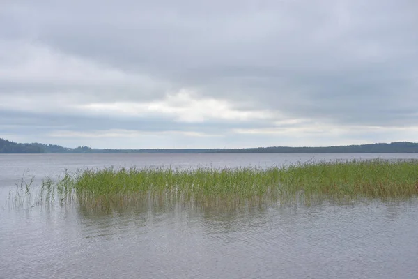 Jezero v den mraků. — Stock fotografie