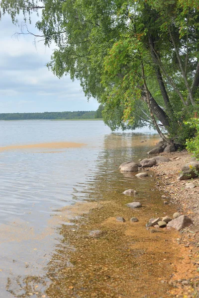 Bulut Gününde Göl Karelian Isthmus Leningrad Region Rusya — Stok fotoğraf