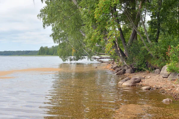 Bulut Gününde Göl Karelian Isthmus Leningrad Region Rusya — Stok fotoğraf