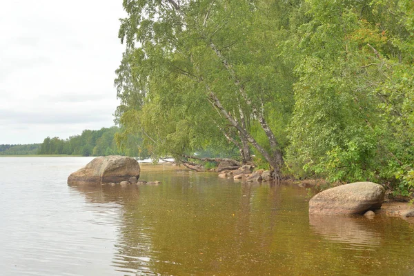 Kust van lake. — Stockfoto